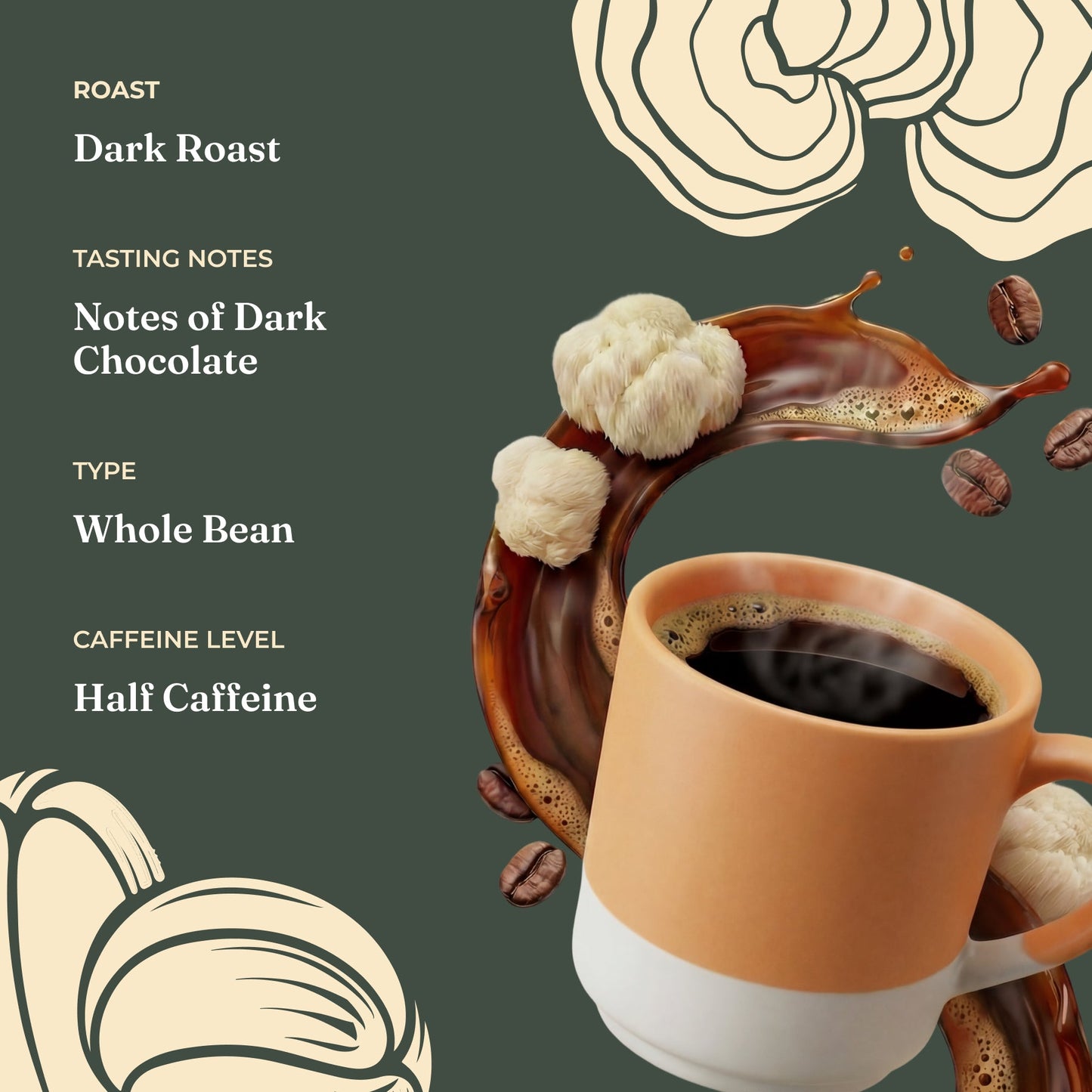 focus-half-caf-whole-bean-coffee-s9 Taste_-_Focus_Half_Caf_Whole_Bean_d1d02c35-db99-498e-ac43-813730db6953.jpg