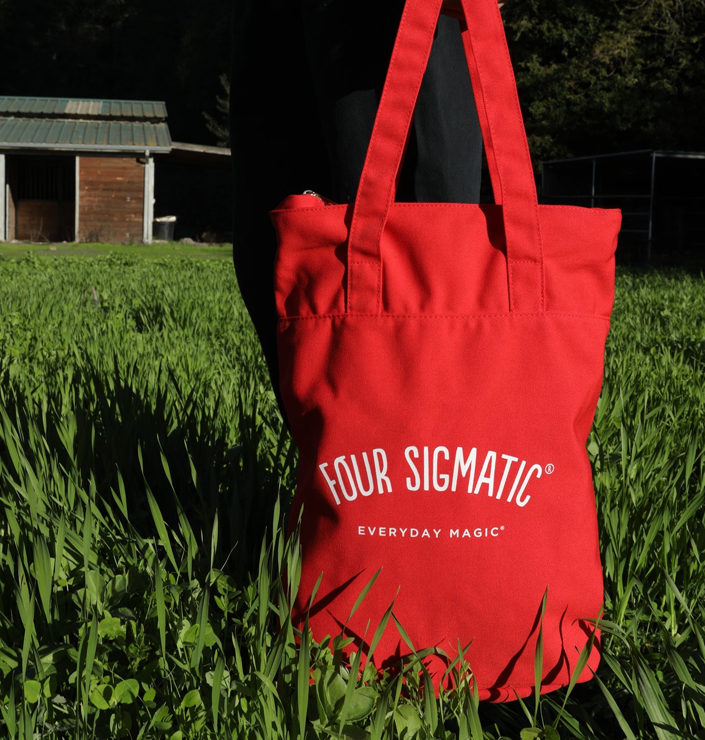 tote-backpack-c6 ToteBackpack_PDP_3_50cad221-ea24-4fbc-9e1f-07637d9fdfa3.jpg